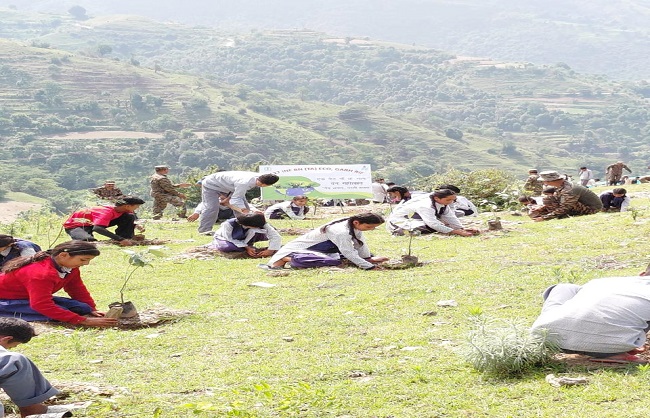 वन महोत्सव पौधरोपण कार्यक्रम वन महोत्सव पौधरोपण कार्यक्रम
