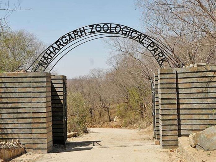 नाहरगढ़ बायोलॉजिकल पार्क की तस्वीर