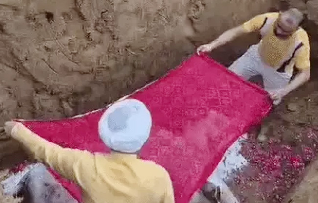गौ माता की अंतिम विदाई सोनीपत गौ माता की अंतिम विदाई सोनीपत