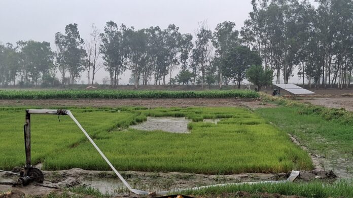 बारिश की खुशियाँ, मानसून का फायदा बारिश की खुशियाँ, मानसून का फायदा