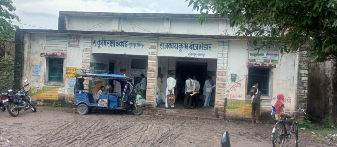 उड़द बीज के फायदे के बारे में जानकारी