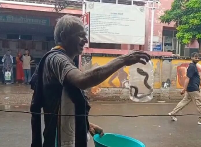 सांप अस्पताल में दिखा