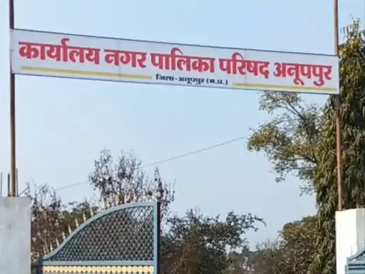 फाईल फाेटाे का उपयोग और महत्व फाईल फाेटाे का उपयोग और महत्व