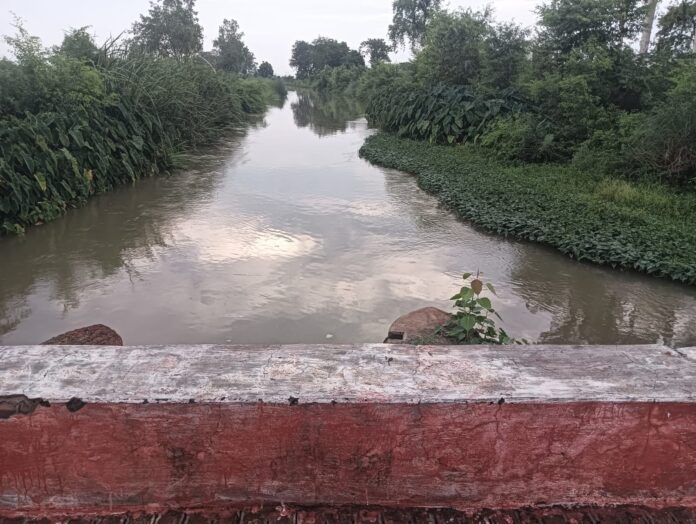 रोस्टर प्रणाली से नहरें सूखी हालात रोस्टर प्रणाली से नहरें सूखी हालात