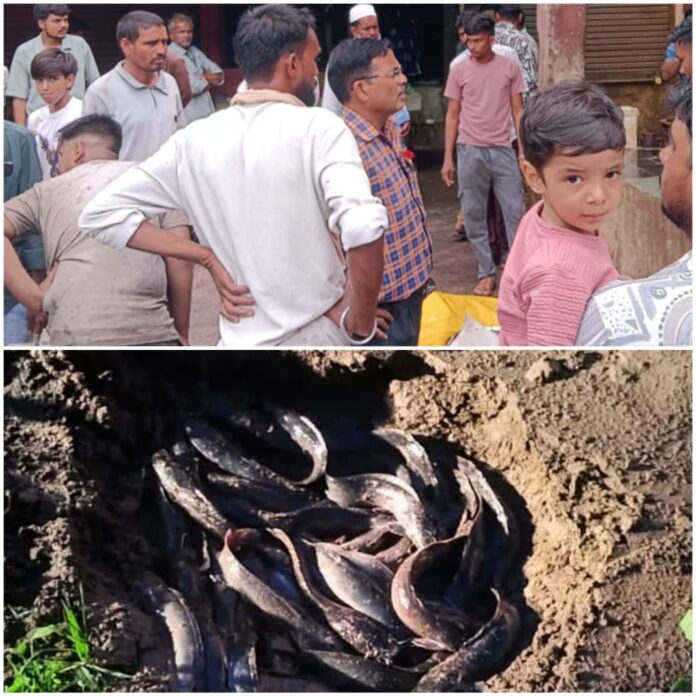 मत्स्याखेट पर कार्रवाई, 125 किलो मछली जब्त मत्स्याखेट पर कार्रवाई, 125 किलो मछली जब्त