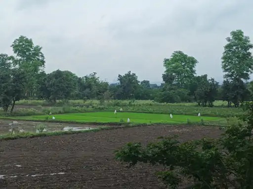 कृषि बुआई के लिए सही तरीके कृषि बुआई के लिए सही तरीके