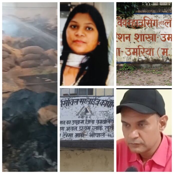 राइस मिल में आग लगने की तस्वीर राइस मिल में आग लगने की तस्वीर