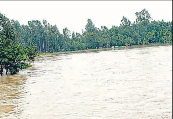 मुरादाबाद में फीका नदी का पानी मुरादाबाद में फीका नदी का पानी