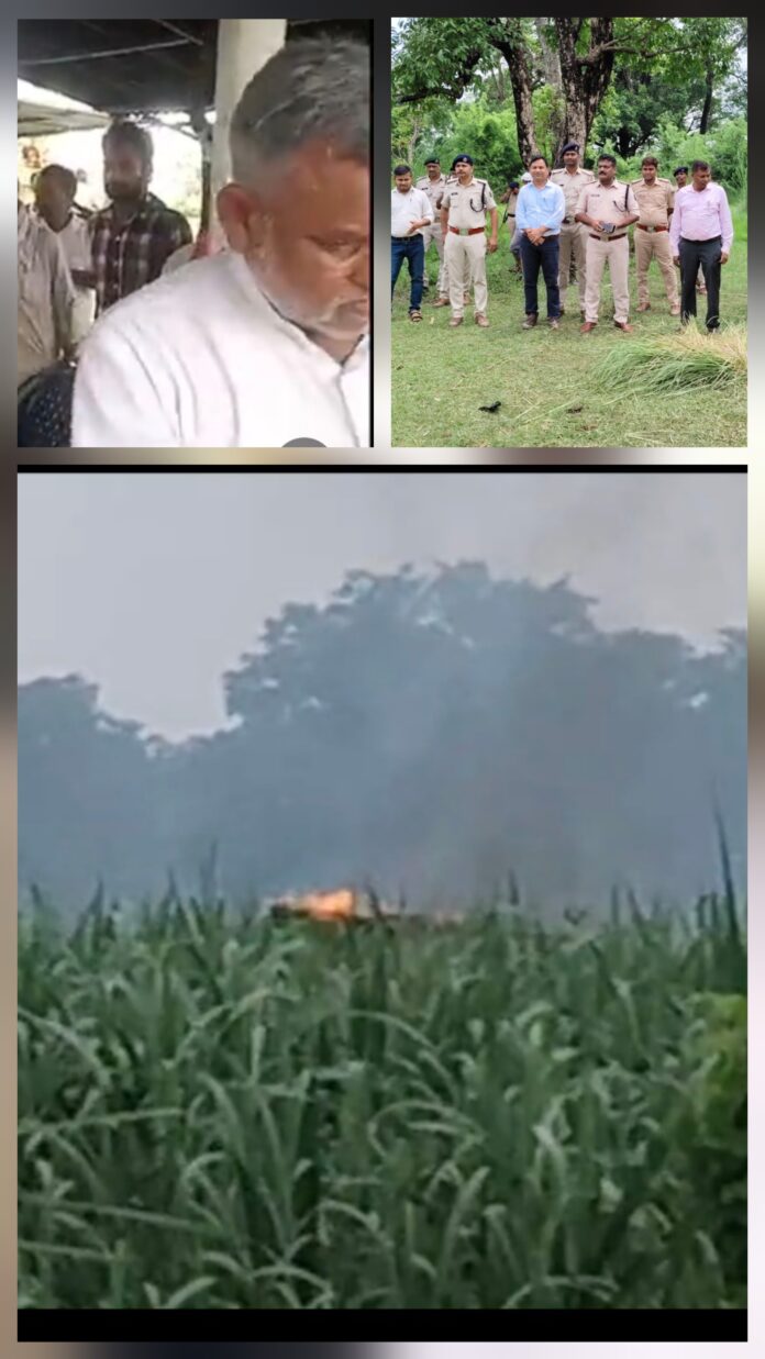 वन विभाग की तस्वीर वन विभाग की तस्वीर