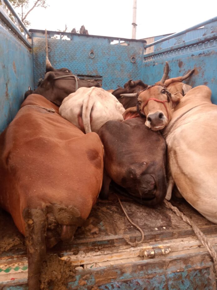 पुलिस ने 107 मुकदमे गिरफ्तार किया है