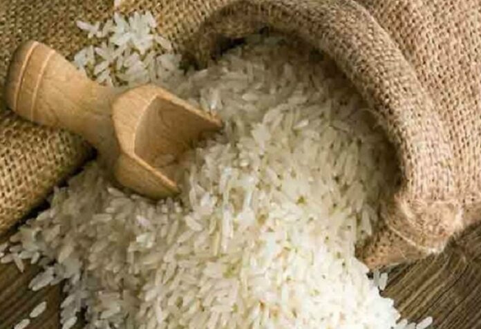 चावल खेती की तस्वीर