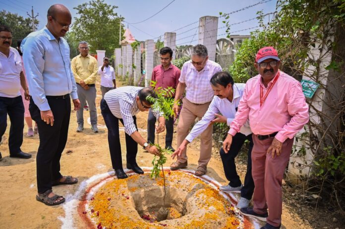 अमृत अभिजात पौधारोपण करते हैं