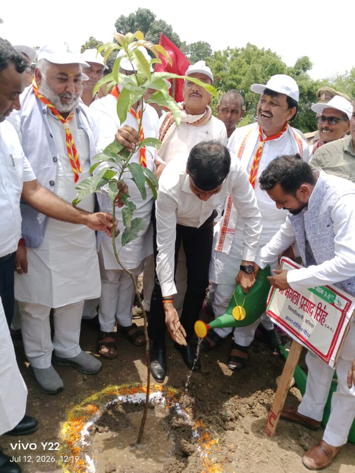 मंत्री दयाशंकर सिंह पौधरोपण करते हुए