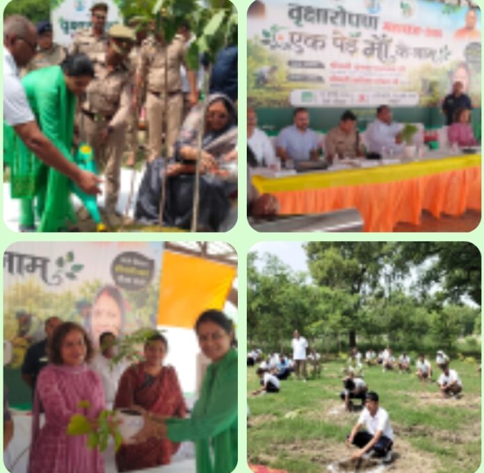 राज्य मंत्री कृष्णा पासवान पौधरोपण करते हुए