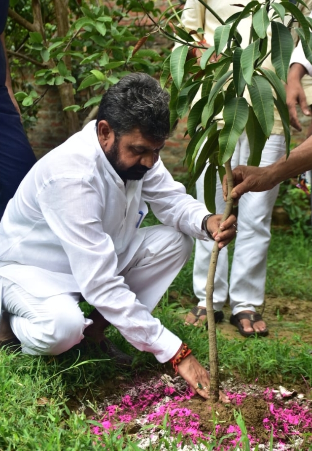 डॉ दयाशंकर मिश्र पौधा लगाते हुए डॉ दयाशंकर मिश्र पौधा लगाते हुए