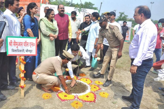 पूर्वांचल विश्वविद्यालय में पेड़ पौधरोपण का विशेष मौका