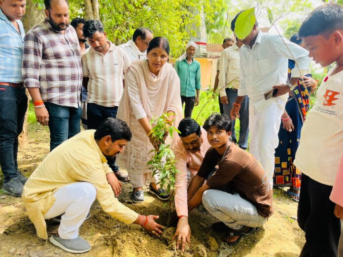 वृक्षारोपण करती सदर विधायका गुड़िया कठेरिया