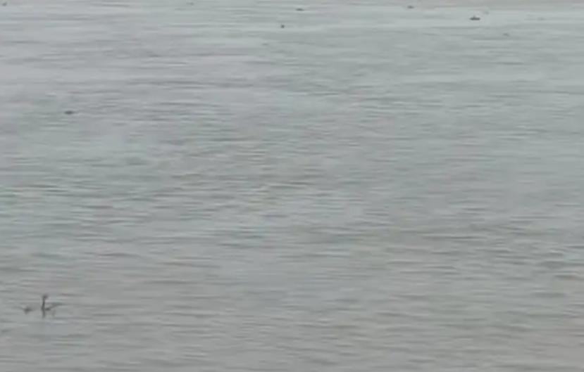 फोटो नदी का सौंदर्य और महत्व की कहानी फोटो नदी की खूबसूरती