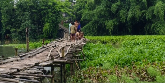 ग्रामवासी बांस का पथ मरम्मत करते हुए ग्रामवासी बांस का पथ मरम्मत करते हुए
