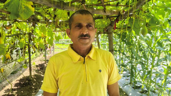 प्रगतिशील किसान सुनील कुमार की सफलता की कहानी प्रगतिशील किसान सुनील कुमार की सफलता की कहानी