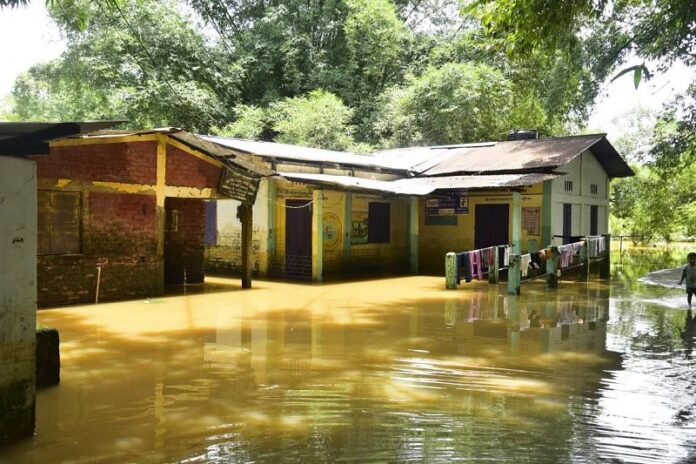 असम बाढ़ प्राथमिक विद्यालय दृश्य