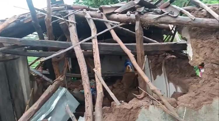 हाथियों ने दो मकानों को किया क्षतिग्रस्त, जानें पूरा मामला हाथियों ने मकान को क्षतिग्रस्त किया