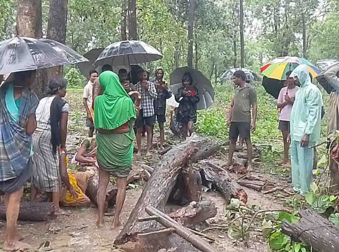 किसान सूखे पेड़ की चपेट में किसान सूखे पेड़ की चपेट में