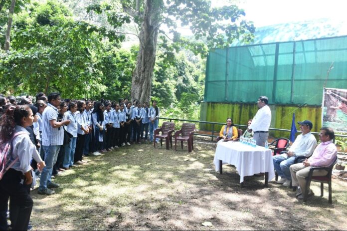 वन महोत्सव में वृक्षारोपण करते डीएफओ