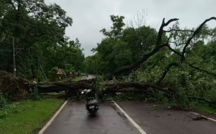 छत्तीसगढ़ बारिश का मौसम फोटो