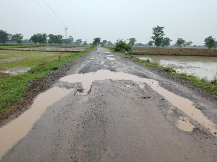 गांव से गुजरी सड़क में गड्ढे हो गए हैं गांव से गुजरी सड़क में गड्ढे हो गए हैं