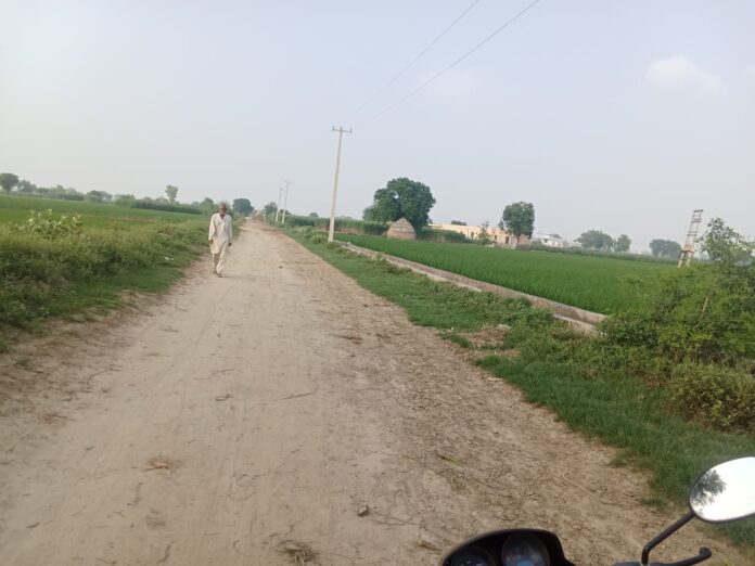 खरकभूरा से तारखा जाने वाला कच्चा रास्ता
