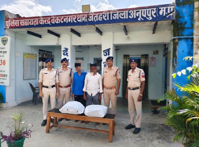 गिरफ्तार आरोपी से अवैध गांजा बरामद गिरफ्तार आरोपी से अवैध गांजा बरामद