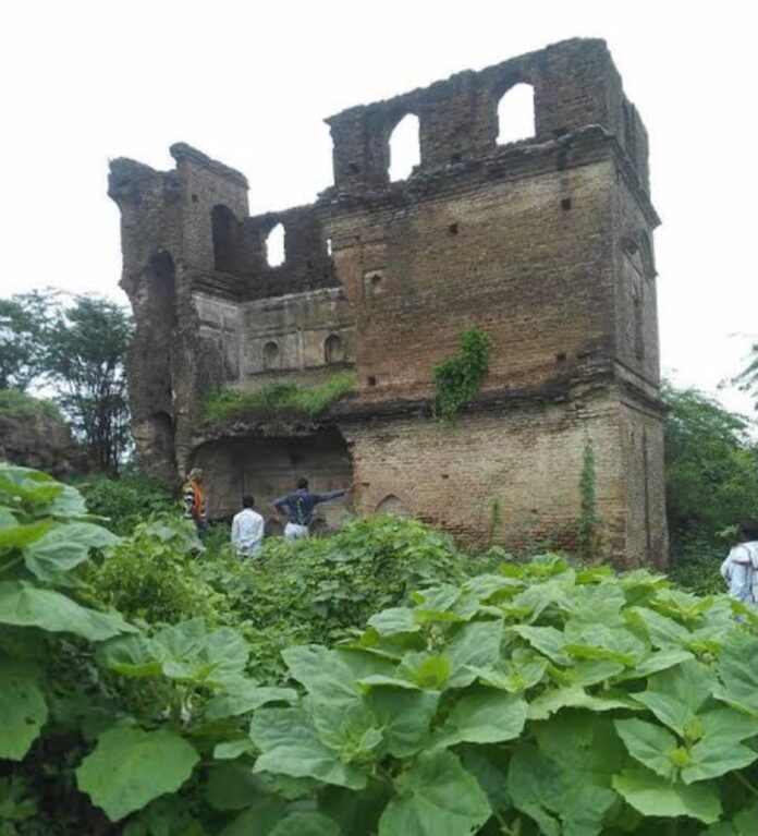 भरेह किला बदहाली का शिकार हिसार भरेह किला बदहाली का शिकार हिसार
