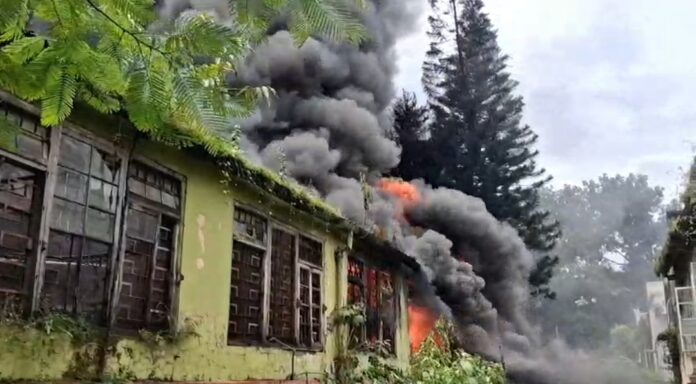 प्लास्टिक फैक्ट्री जलने के पर्यावरण पर प्रभाव