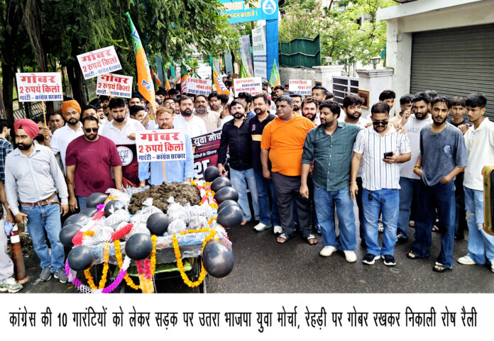 प्रदर्शन करते हुए। प्रदर्शन करते हुए।