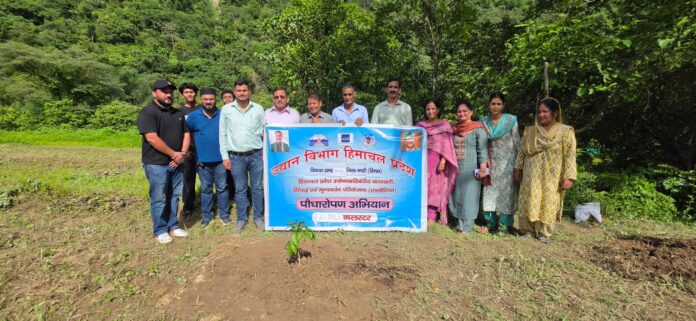 द्रंग के बबेला क्लस्टर में पौधरोपण एवं प्रशिक्षण शिविर के दौरान।