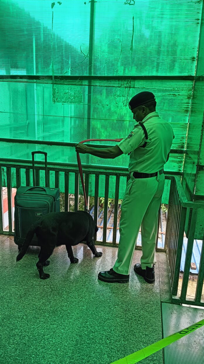 जांच करता डॉग स्क्वॉयड