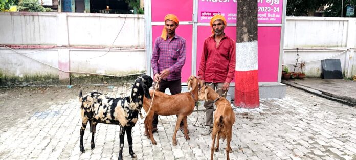 फोटो। घटना का खुलासा करते हुए पुलिस अधीक्षक अभिषेक भारती