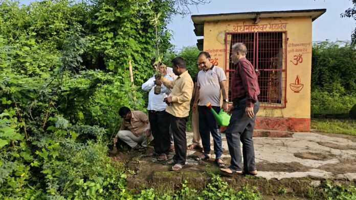 फोटो। मंदिर पर पौधा रोपड़ करते हुए संस्था के लोग