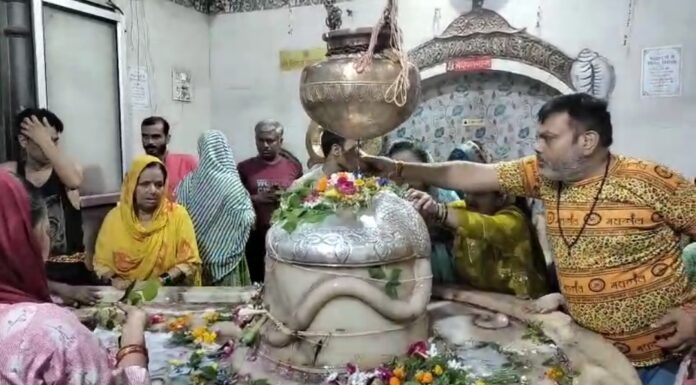 शिवलिंग पर पूजा अर्चना करते श्रद्धालु