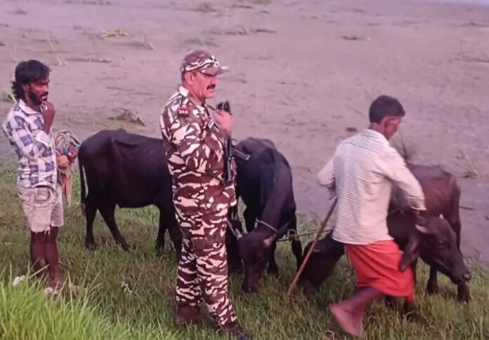 अररिया फोटो:एसएसबी कार्रवाई करते हुए