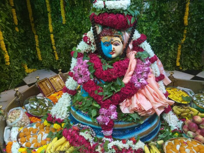 गौरी केदारेश्वर महादेव अर्धनारीश्वर स्वरूप में