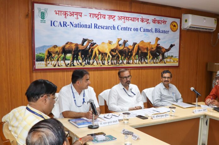 अनुसंधान से ऊंटनी के स्वास्थ्य, दुग्ध उत्पादन और ऊंटपालकों की आजीविका को मिल सकेगी नई दिशा : डॉ. पूनिया