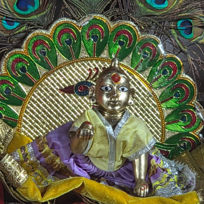 काशी विश्वनाथ धाम में श्री विश्वेश्वर के साथ लड्डू गोपाल