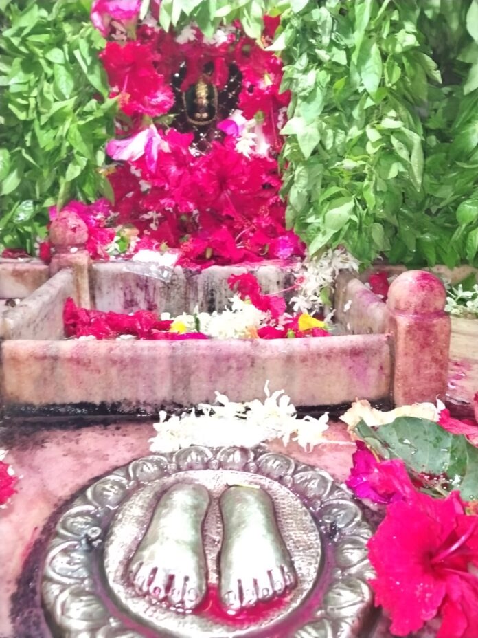 गड़बड़ा शीतला मां की सजी झांकी