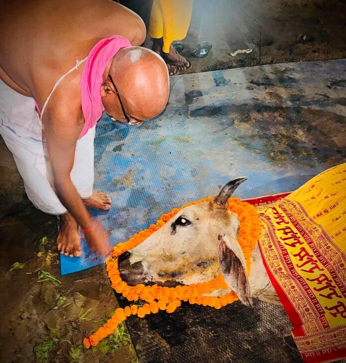 गोवंश सरयू