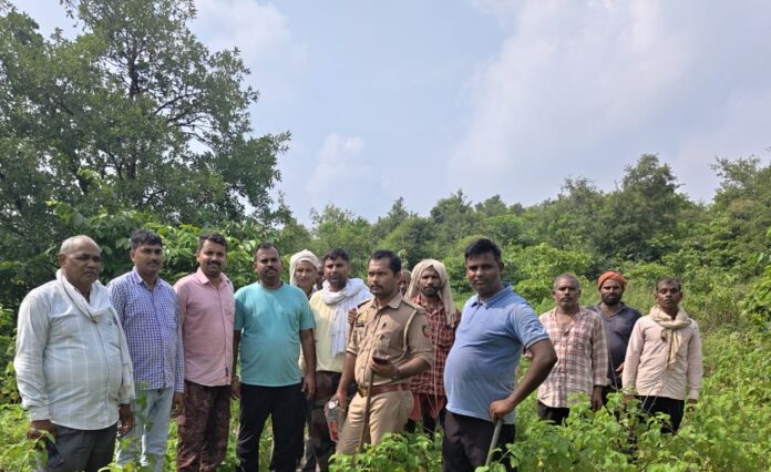 ड्रमंडगंज वन क्षेत्र के भैसौढ बलाय पहाड़ पर हाथी हथिनी का लोकेशन लेते वनकर्मी।