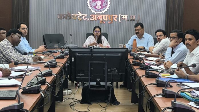 बैठक में मुख्य कार्यपालन अधिकारी जिला पंचायत