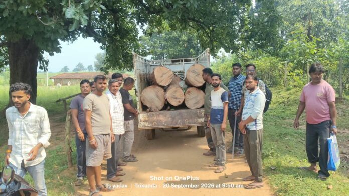 कार्रवाई करते वन विभाग