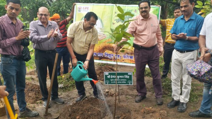 सेवा संकल्प अभियान के तहत एचटीपीएस में हुआ पौधरोपण, अधिकारियों-कर्मचारियों ने लगाए देसी प्रजाति के पौधे